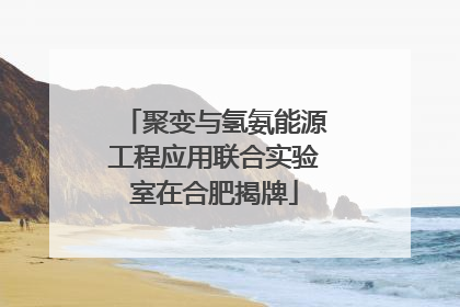 聚变与氢氨能源工程应用联合实验室在合肥揭牌