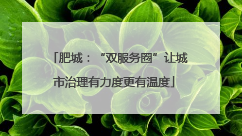 肥城：“双服务圈”让城市治理有力度更有温度