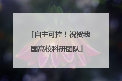 自主可控！祝贺我国高校科研团队
