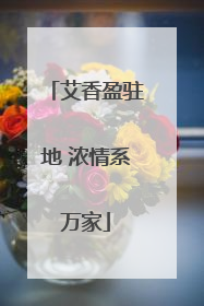 艾香盈驻地 浓情系万家