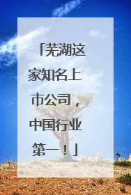 芜湖这家知名上市公司，中国行业第一！
