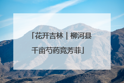 花开吉林｜柳河县千亩芍药竞芳菲