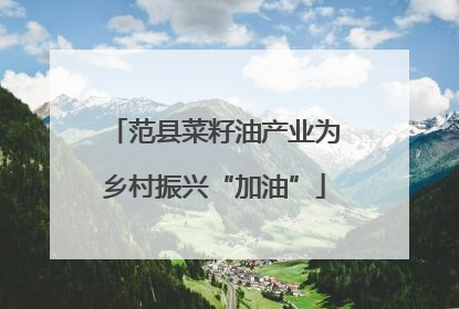 范县菜籽油产业为乡村振兴“加油”