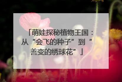 萌娃探秘植物王国：从“会飞的种子”到“善变的绣球花”