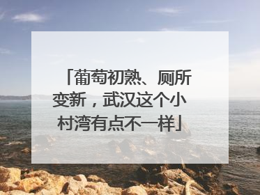 葡萄初熟、厕所变新，武汉这个小村湾有点不一样