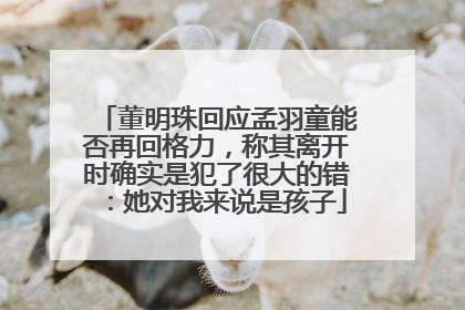 董明珠回应孟羽童能否再回格力，称其离开时确实是犯了很大的错：她对我来说是孩子
