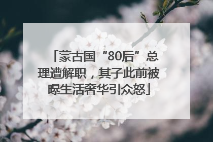 蒙古国“80后”总理遭解职，其子此前被曝生活奢华引众怒