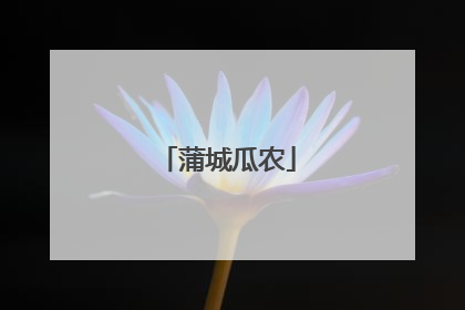 蒲城瓜农
