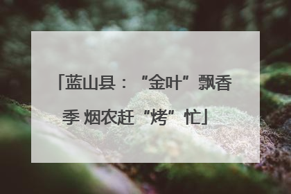 蓝山县：“金叶”飘香季 烟农赶“烤”忙