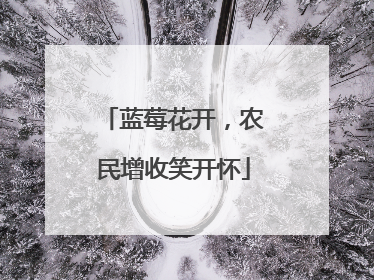 蓝莓花开，农民增收笑开怀