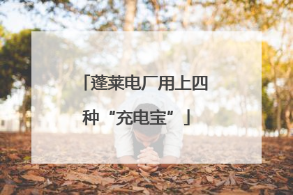 蓬莱电厂用上四种“充电宝”