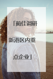 蔺佳调研新港区内重点企业