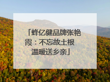蜂亿健品牌张艳霞：不忘故土根 温暖送乡亲