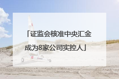 证监会核准中央汇金成为8家公司实控人