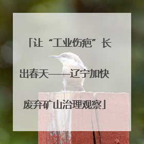 让“工业伤疤”长出春天——辽宁加快废弃矿山治理观察