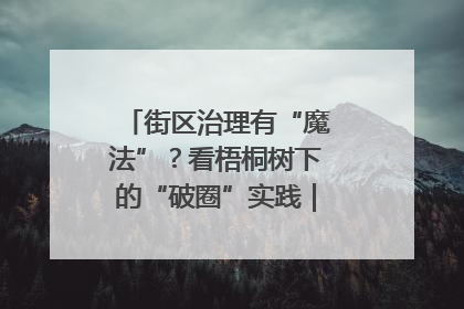 街区治理有“魔法”？看梧桐树下的“破圈”实践｜我在街区当书记