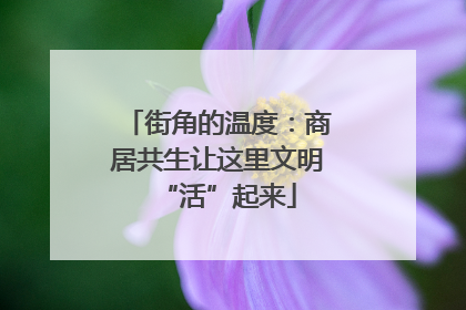 街角的温度：商居共生让这里文明“活”起来