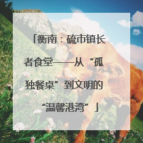 衡南：硫市镇长者食堂——从“孤独餐桌”到文明的“温馨港湾”