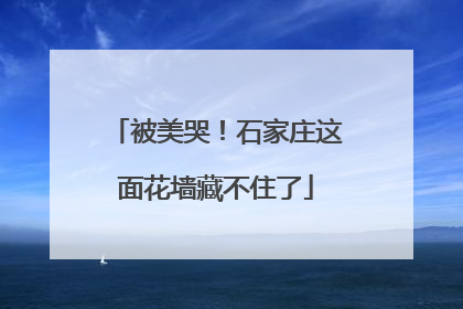 被美哭！石家庄这面花墙藏不住了