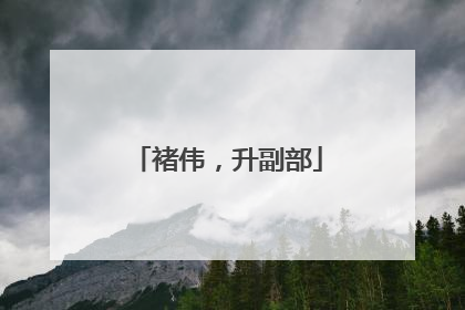 褚伟，升副部