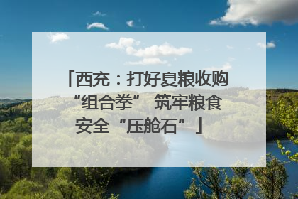 西充：打好夏粮收购“组合拳” 筑牢粮食安全“压舱石”
