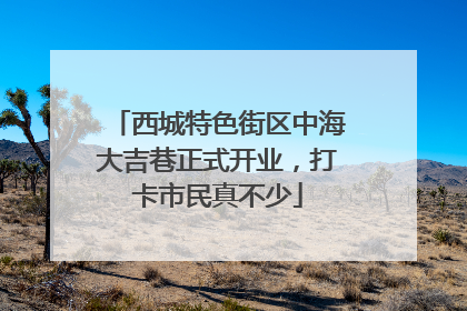 西城特色街区中海大吉巷正式开业，打卡市民真不少