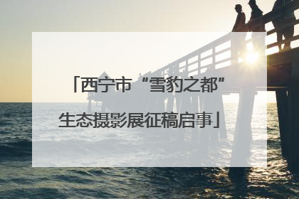 西宁市“雪豹之都”生态摄影展征稿启事