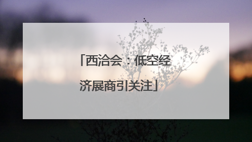 西洽会：低空经济展商引关注