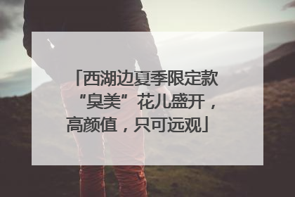 西湖边夏季限定款“臭美”花儿盛开，高颜值，只可远观