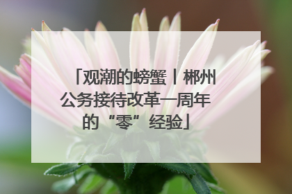 观潮的螃蟹丨郴州公务接待改革一周年的“零”经验