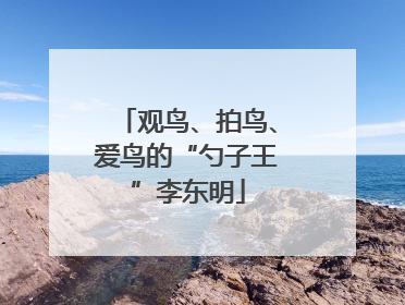 观鸟、拍鸟、爱鸟的“勺子王”李东明