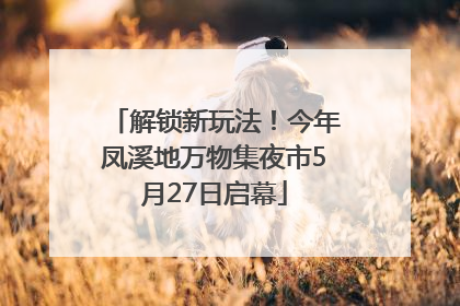 解锁新玩法！今年凤溪地万物集夜市5月27日启幕