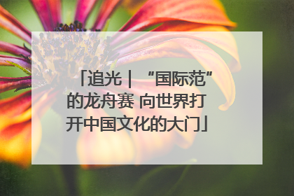 追光｜“国际范”的龙舟赛 向世界打开中国文化的大门