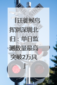 迁徙候鸟挥别深圳北归：单日监测数量最高突破2万只