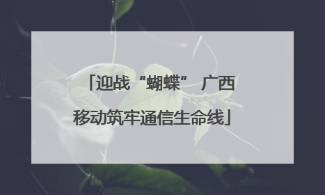 迎战“蝴蝶” 广西移动筑牢通信生命线