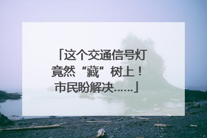 这个交通信号灯竟然“藏”树上！市民盼解决……