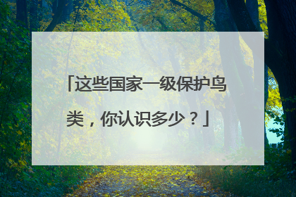 这些国家一级保护鸟类，你认识多少？
