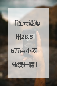 连云港海州28.86万亩小麦陆续开镰