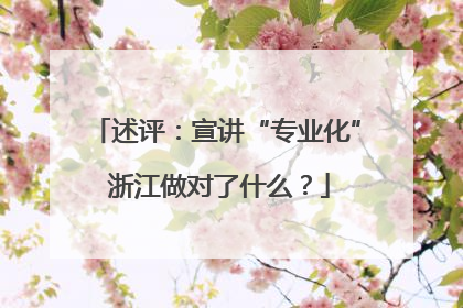 述评：宣讲“专业化” 浙江做对了什么？