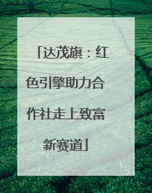达茂旗：红色引擎助力合作社走上致富新赛道