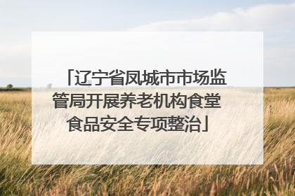 辽宁省凤城市市场监管局开展养老机构食堂食品安全专项整治
