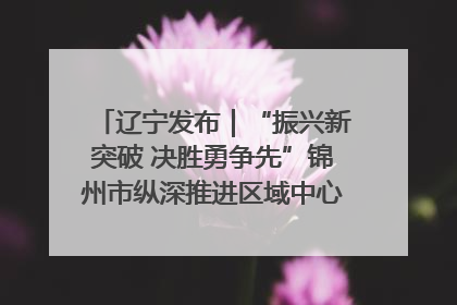 辽宁发布｜“振兴新突破 决胜勇争先”锦州市纵深推进区域中心城市建设 打造高质量发展新增长极