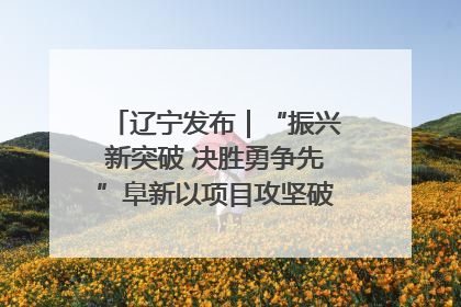 辽宁发布｜“振兴新突破 决胜勇争先”阜新以项目攻坚破解发展瓶颈 经济发展实现良好开局