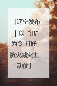 辽宁发布｜以“汛”为令 打好防灾减灾主动仗