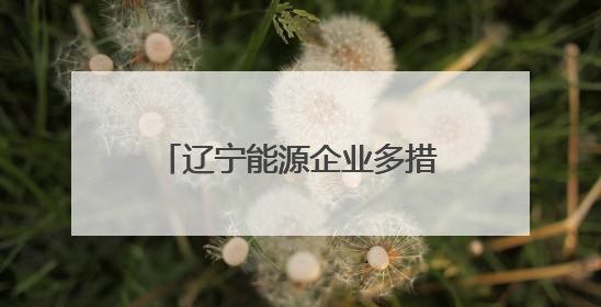 辽宁能源企业多措并举备战迎峰度夏