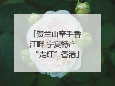 贺兰山牵手香江畔 宁夏特产“走红”香港