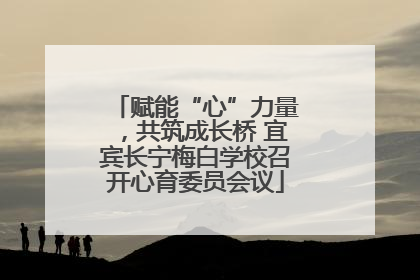 赋能“心”力量，共筑成长桥 宜宾长宁梅白学校召开心育委员会议