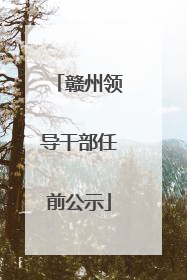 赣州领导干部任前公示