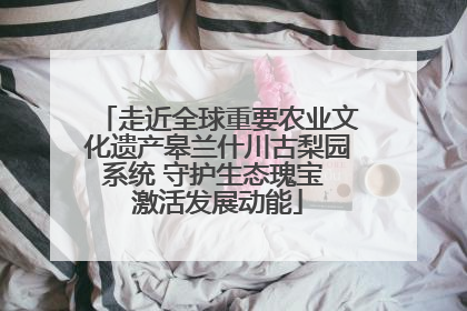 走近全球重要农业文化遗产皋兰什川古梨园系统 守护生态瑰宝 激活发展动能