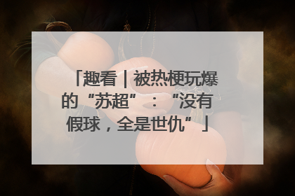 趣看｜被热梗玩爆的“苏超”：“没有假球，全是世仇”